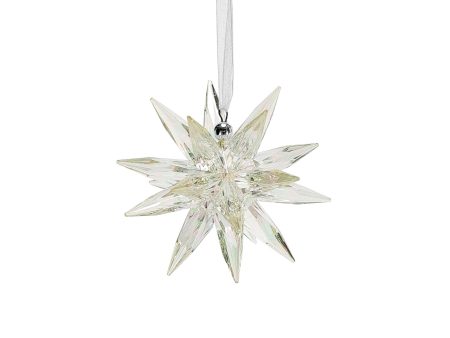 Clear Sea Urchin Ornament Online Hot Sale