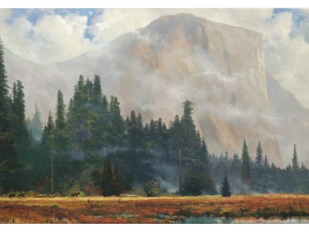 Yosemite Meadow - 16  x 31  Gallery Wrapped Canvas For Cheap