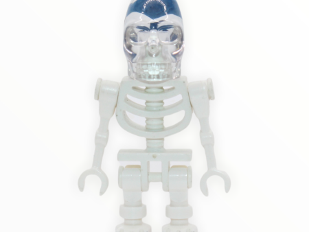 Akator Skeleton Sale