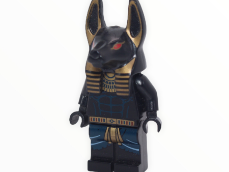 Anubis Guard For Discount