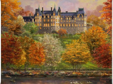 Biltmore® in the Fall - 8  x 10  Gallery Wrapped Canvas Cheap