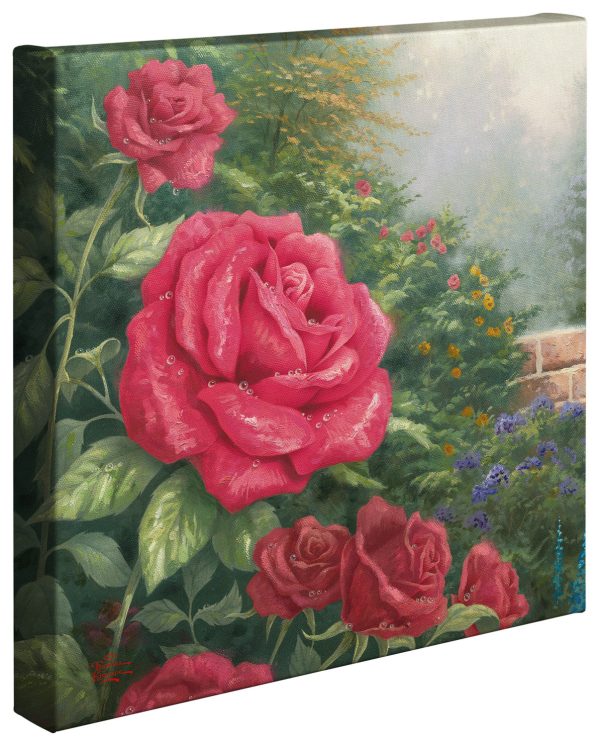 A Perfect Red Rose - 14  x 14  Gallery Wrapped Canvas Online Sale