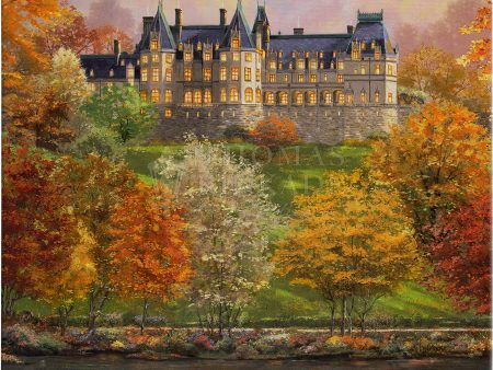 Biltmore® in the Fall - 14  x 14  Gallery Wrapped Canvas Discount