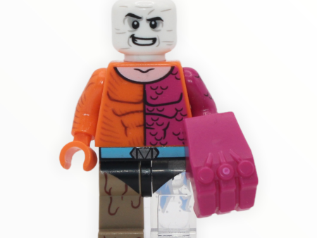 DC Series: Metamorpho Discount