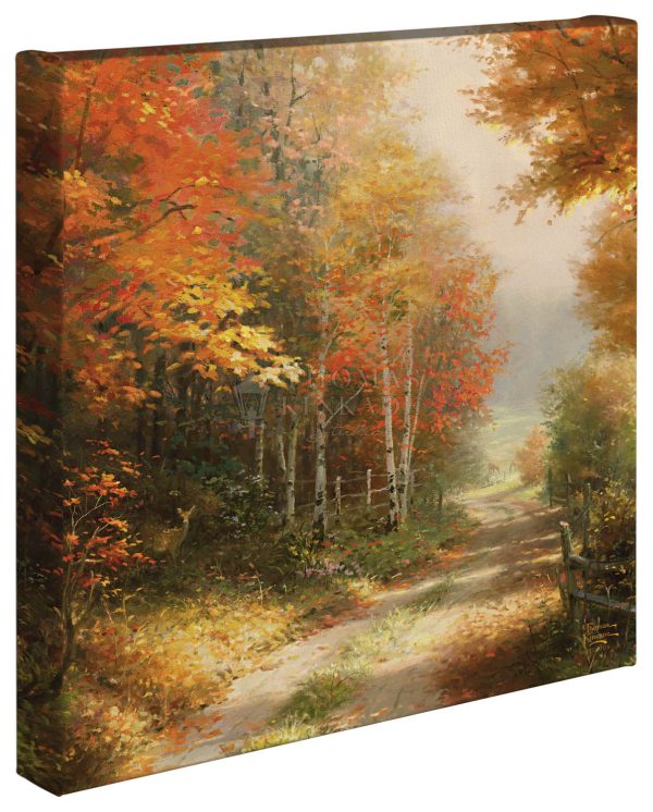 A Walk Down Autumn Lane - 14  x 14  Gallery Wrapped Canvas Fashion