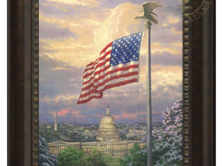 America s Pride - 16  x 20  Brushstroke Vignette (Rich Burl Frame) Hot on Sale