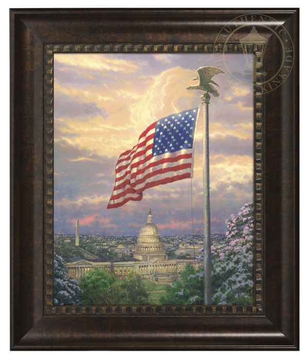 America s Pride - 16  x 20  Brushstroke Vignette (Rich Burl Frame) Hot on Sale