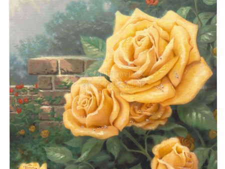 A Perfect Yellow Rose - 14  x 14  Gallery Wrapped Canvas For Cheap