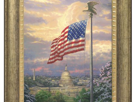 America s Pride - 16  x 20  Brushstroke Vignette (Burnished Gold Frame) on Sale