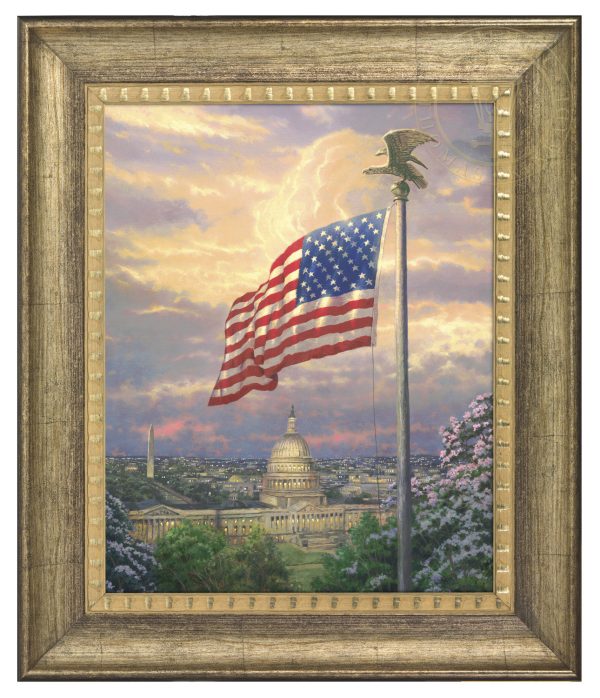 America s Pride - 16  x 20  Brushstroke Vignette (Burnished Gold Frame) on Sale