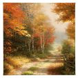 A Walk Down Autumn Lane - 14  x 14  Gallery Wrapped Canvas Fashion