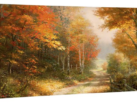 A Walk Down Autumn Lane - 16  x 31  Gallery Wrapped Canvas Discount