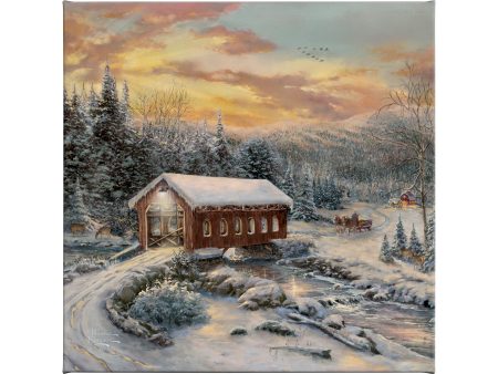 A Winter s Calm - 14  x 14  Gallery Wrapped Canvas Online Sale